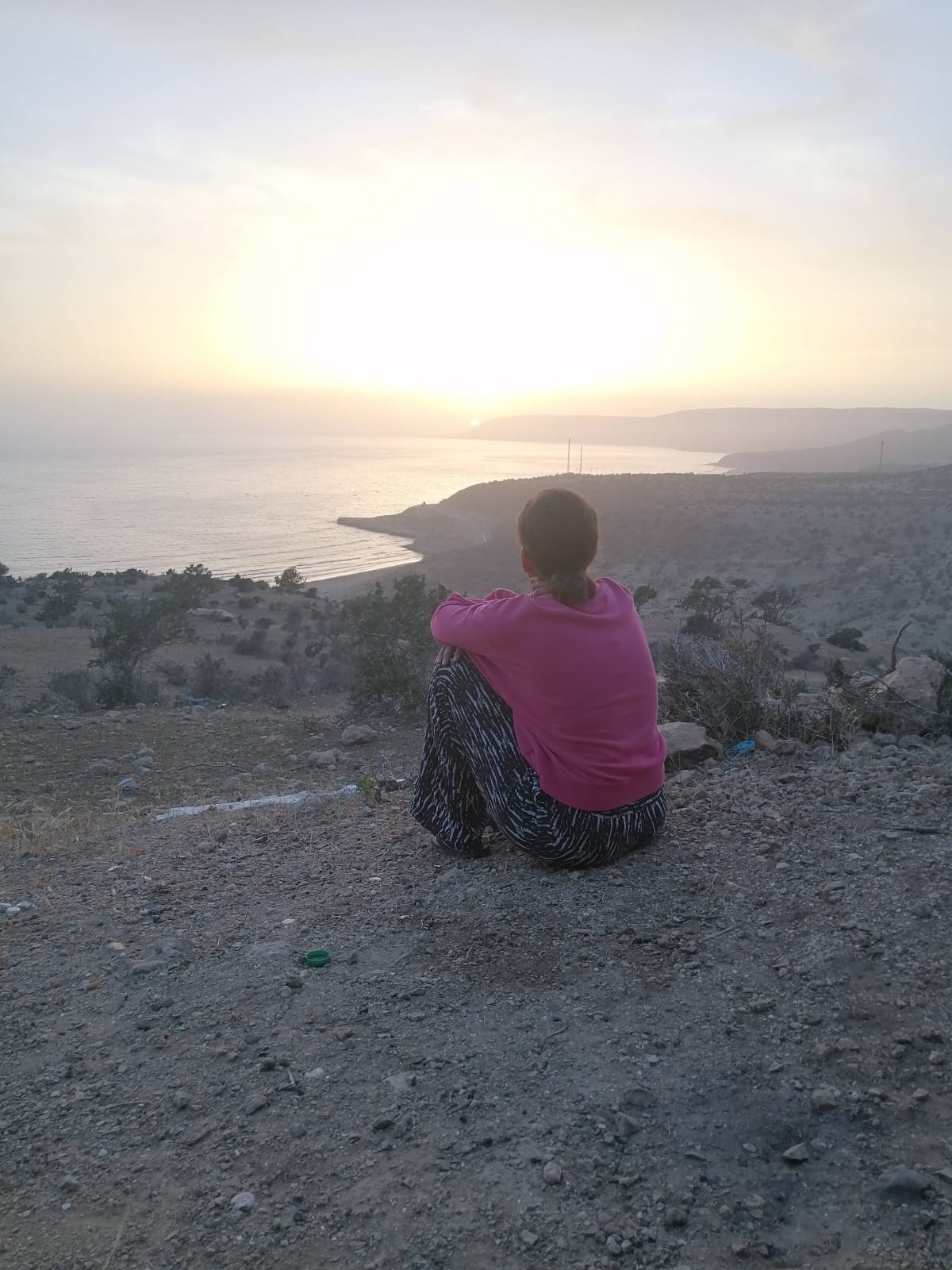 Surfboard collection